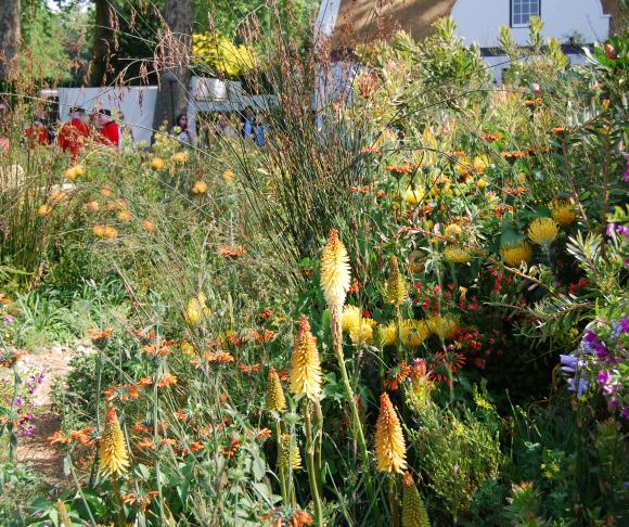 Fra showhaven The Trailfinder South African Wine Estate ved Chelsea Flower Show 2018. Foto: Louise Møller