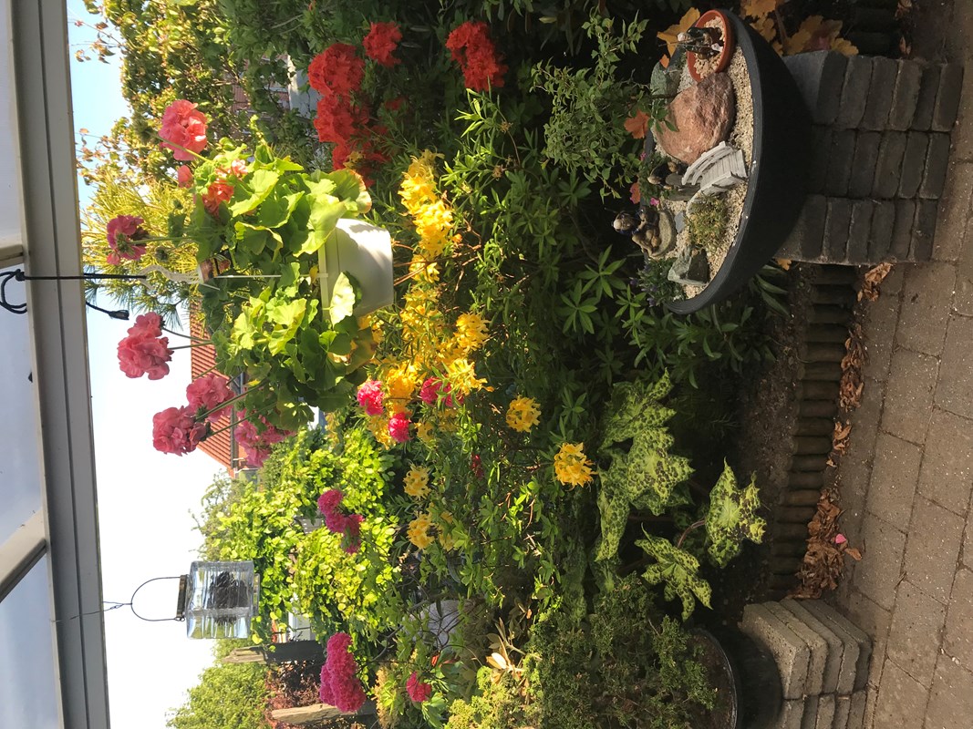 Overdækket terrasse med blomster