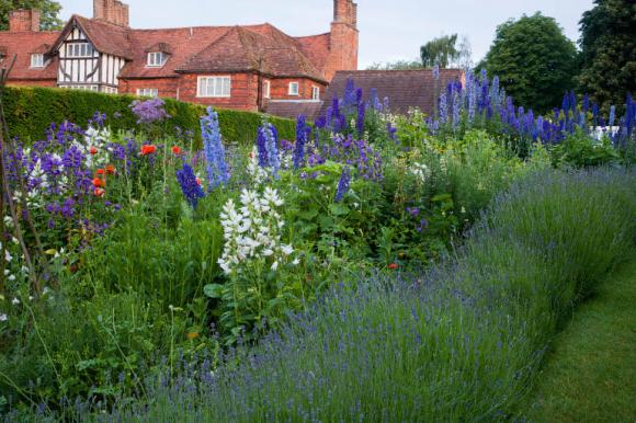 Cottagehave ved engelske The Manor House, Upton Grey - Fotograf: Gapphotos / Abigail Rex